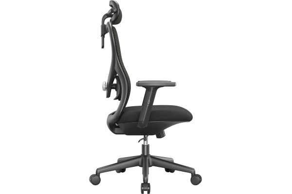 APOLLO Bürodrehstuhl Vyra 732518 schwarz