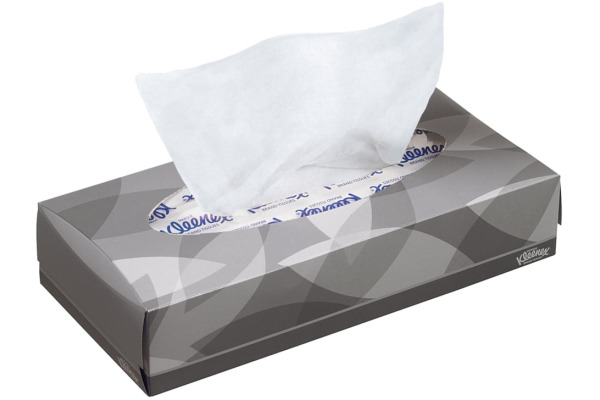 KLEENEX Kosmetiktücher 8827 2-lagig 100 Stück
