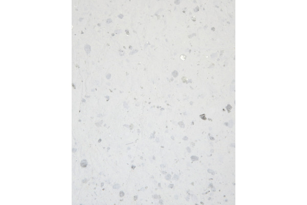 FOLIA Motivblock 550405 Col. India Delhi