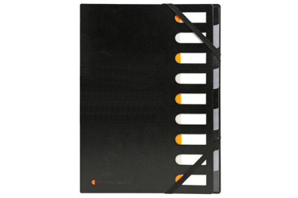 EXACOMPTA EXACTIVE Harmonika A4 55334E schwarz