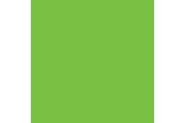 RAINBOW Papier intensivgrün/78 A4 88042673 FSC, 80g 500 Blatt