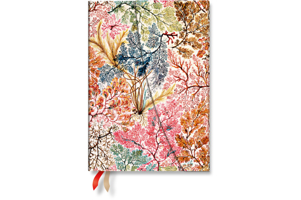 PAPERBLAN Agenda Anemone 2027 DD1771-5 1W/2S HOR Midi HC DE 13x18cm