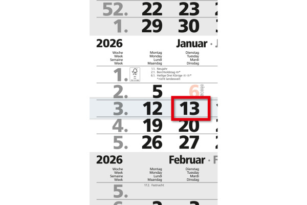 BÜHNER 4-Monatskalender 2027 M4MF-R-BL ML 30x59cm