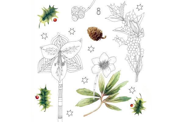 COPPENRAT Kreativ Adventskalender 95312 Wundervolle Winterwelt