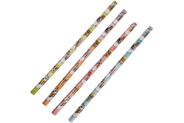 DIDDL Bleistift HB 23545 Dose, assortiert 24 Stück