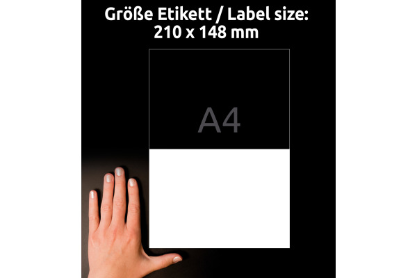 AVERY ZW. Etiketten L8002-10 Antimic. 210x148mm weiss