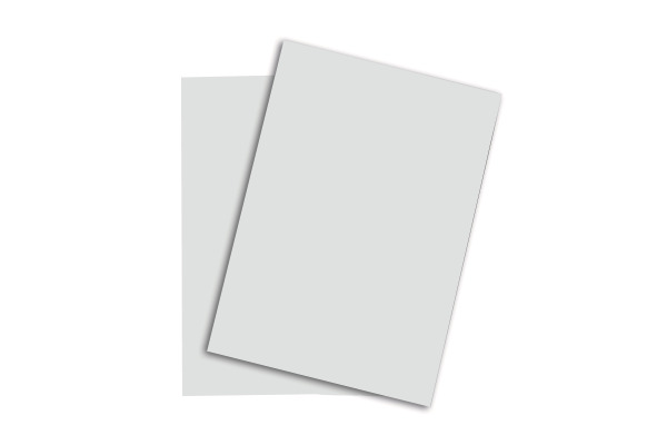 RAINBOW Papier hellgrau/93 A4 88043146 FSC, 160g 250 Blatt