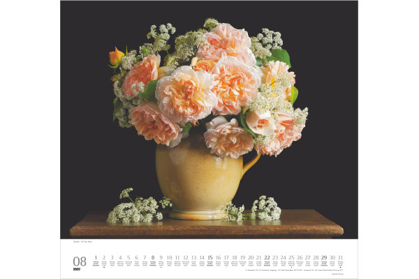DUMONT Bildkalender 2027 261185 Rosen ML 38x35.5cm