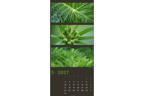 WEINGARTE Bildkalender 2027 322610027 Farben der Natur DE 33x68cm