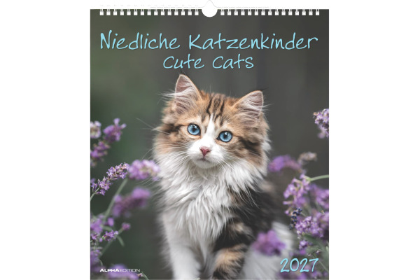 ALPHA EDI Bildkalender 2027 161828 Katzenkinder ML 30x34cm