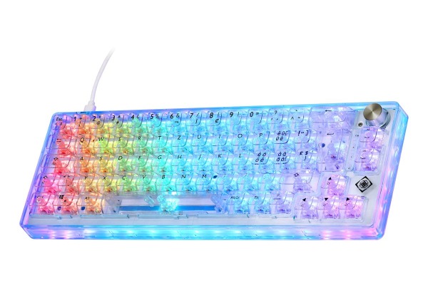 DELTACO TKL Gaming Keyboard mech GAM160TCH transparent RGB CH-Layout
