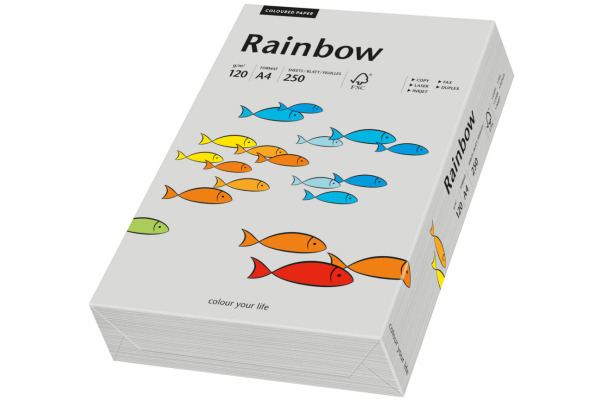 RAINBOW Papier grau/96 A4 88042810 FSC, 120g 250 Blatt