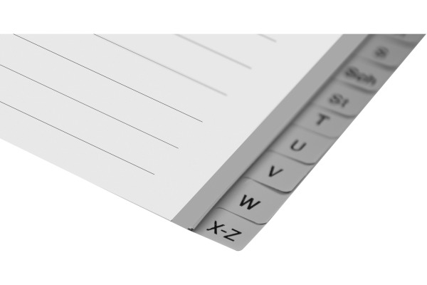 BIELLA Register PP A4+ 47842400U grau A-Z 24-teilig