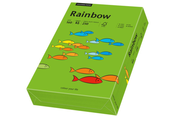 RAINBOW Papier intensivgrün/78 A3 88042682 FSC, 160g 250 Blatt
