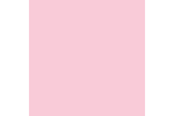 RAINBOW Papier hellrosa/54 A4 88042519 FSC, 80g 500 Blatt