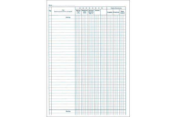 FAVORIT Haushaltbuch A4 890 24 Blatt