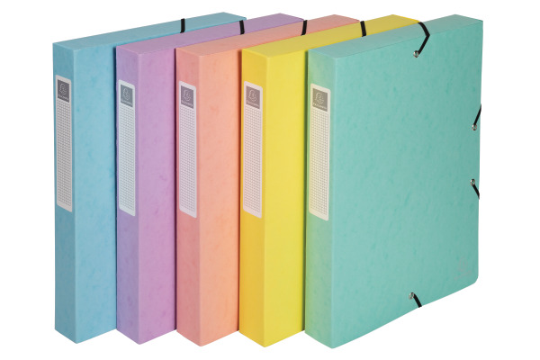 EXACOMPTA Sammelbox Aquarel A4 59560E ass.