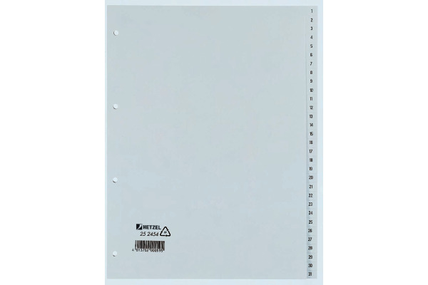 HETZEL Register PP A4 25245481 grau 1-31
