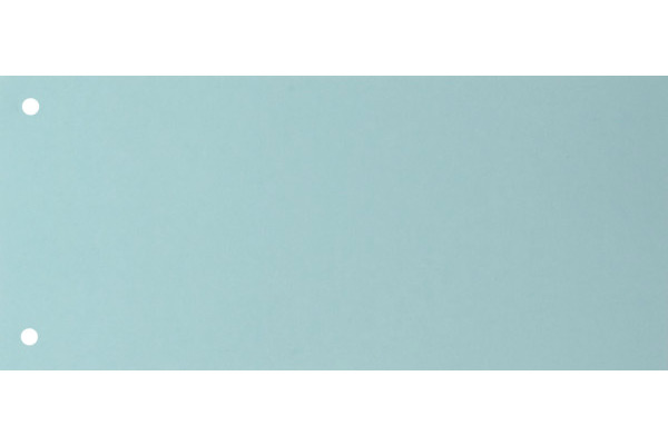 BIELLA Trennstreifen Karton 2 Loch 19919005U blau, 24x10.5cm 100 Stk.