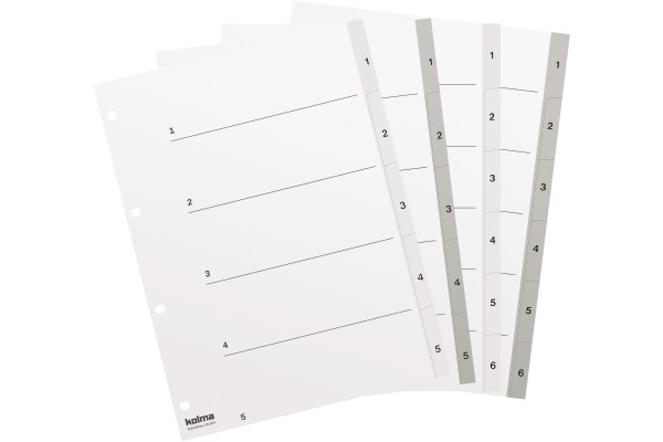 KOLMA Register KolmaFlex A4 18.564.16 weiss 1-6