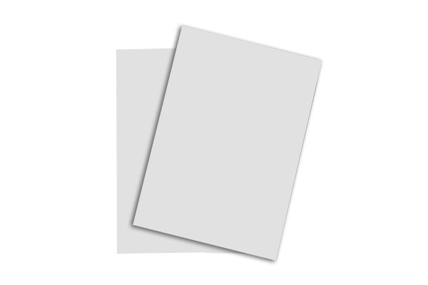 RAINBOW Papier hellgrau/93 A4 88043146 FSC, 160g 250 Blatt