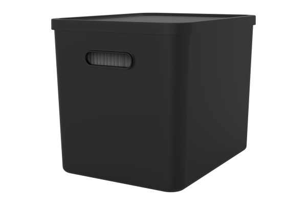 ROTHO Archivbox MyPaper 64508080 schwarz 29x29.5x40cm
