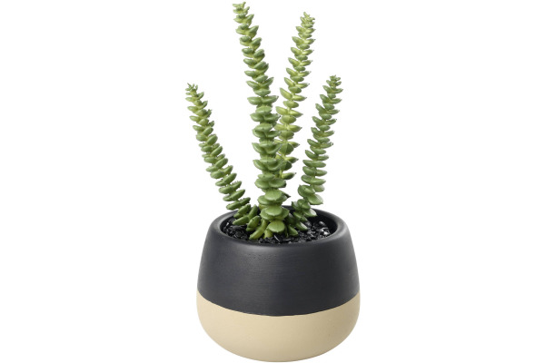 EGLO Kunstpflanze 20cm 428494 grün, im Topf
