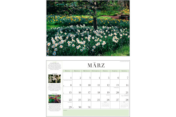 DUMONT Bildkalender 2027 261220 Garten-Kalender DE 42x29cm