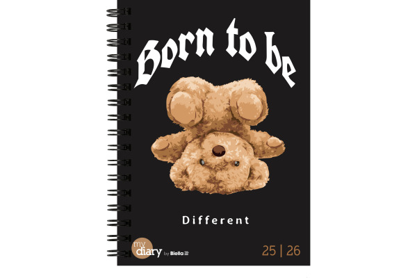 BIELLA Schüleragenda Skater 26/27 17820027U 1W/2S 12x16.5cm