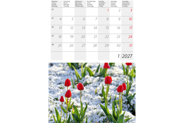 CALENDARI Bildkalender 2027 36206226 Alpenblumen ML 14.8x22cm