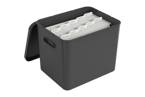 ROTHO Archivbox MyPaper 64508080 schwarz 29x29.5x40cm