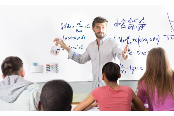 LEGAMASTE Whiteboard-Reiniger TZ9 750ml 7-121800