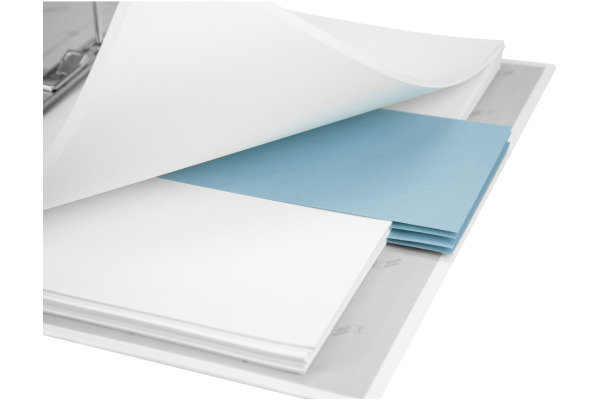 BIELLA Trennstreifen Karton 2 Loch 19919005U blau, 24x10.5cm 100 Stk.