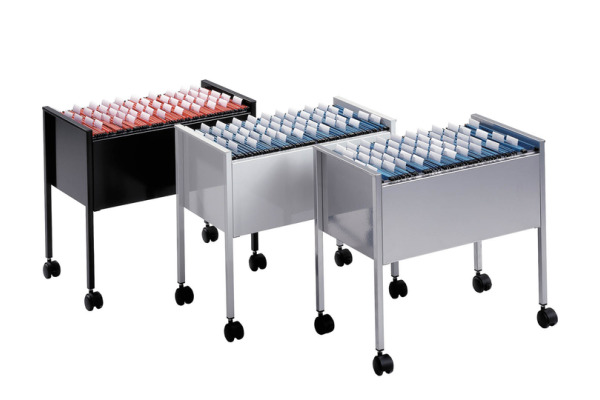 DURABLE Hängemappenboy Economy 309510 lichtgrau