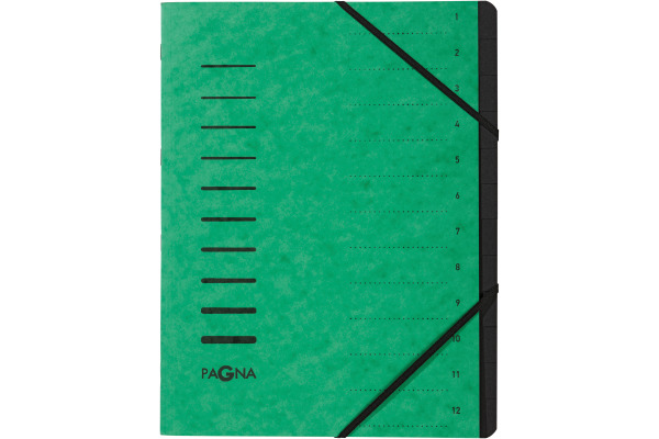 PAGNA Ordnungsmappe A4 40059-03 grün 12-teilig