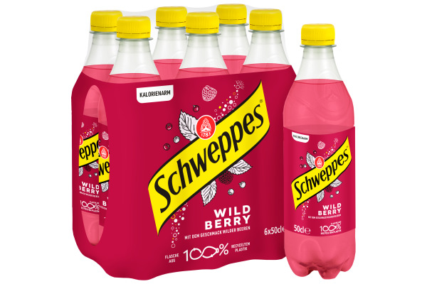 SCHWEPPES Wild Berry 11020621 50 cl, 6 Stk.