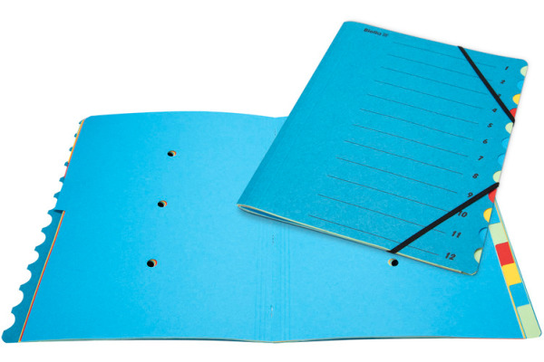 BIELLA Fächermappe A4 32841205U Karton blau 12-teilig
