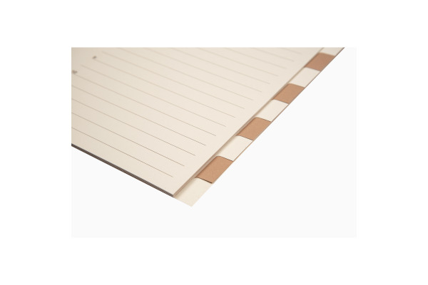 BIELLA Kartonregister A4 46444100U braun/beige 12-teilig