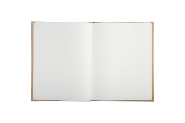 EXACOMPTA Gästebuch 22x27cm 47234E Goldschnitt 100 Seiten