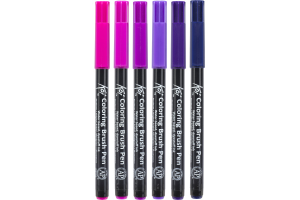 SAKURA Brush Pen Koi POXBR6F Galaxy Set 6 Stück