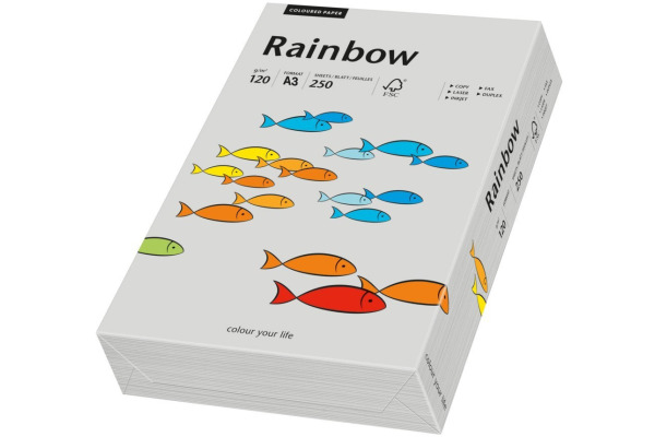 RAINBOW Papier grau/96 A3 88042811 FSC, 120g 250 Blatt