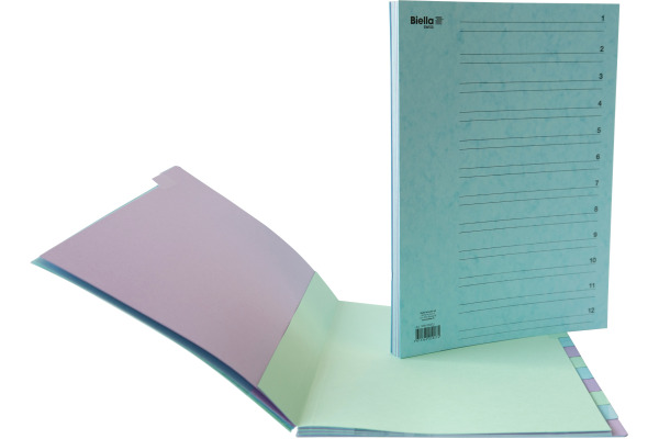 BIELLA Fächermappe A4 32641200U Karton, farbig 12 Fächer