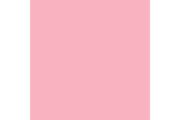 RAINBOW Papier rosa/55 A4 88042542 FSC, 80g 500 Blatt