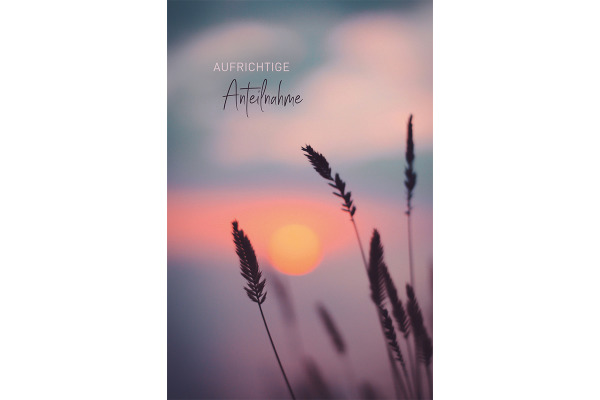 ABC Trauerkarte B6 51967 Schilf