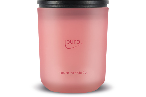 IPURO Kerze Classic 270ml 61.4186 orchidée