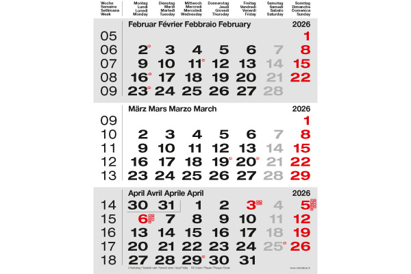 CALENDARI 3-Monats-Wandkalender 2027 36205793 grau 31x40cm