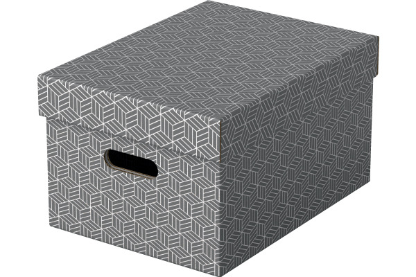 ESSELTE Aufbewahrungsboxen Home M 628283 grau 365x265x205mm 3 Stk.