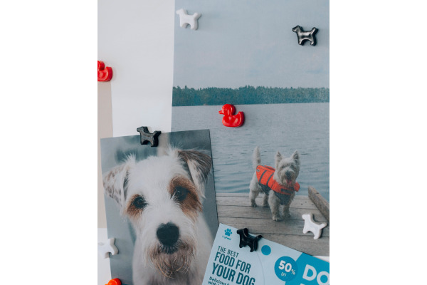 I AM CREA Magnet Ente Let`s Organize 4035.48 rot 6 Stück