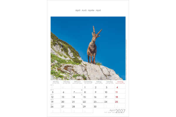 ALPHA EDI Bildkalender 2027 161039 Alpen 23.7x34cm