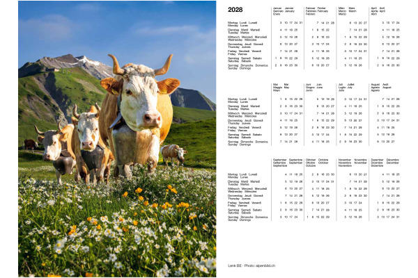 CALENDARI Agenda Photo-Almanach 2027 36205731 1W/1S ML A5